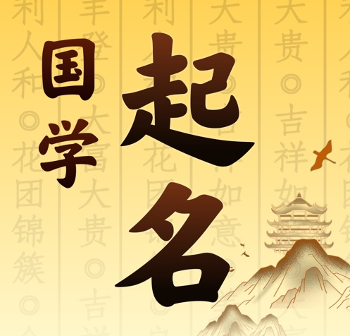 金沙国学起名 人工起名一对一